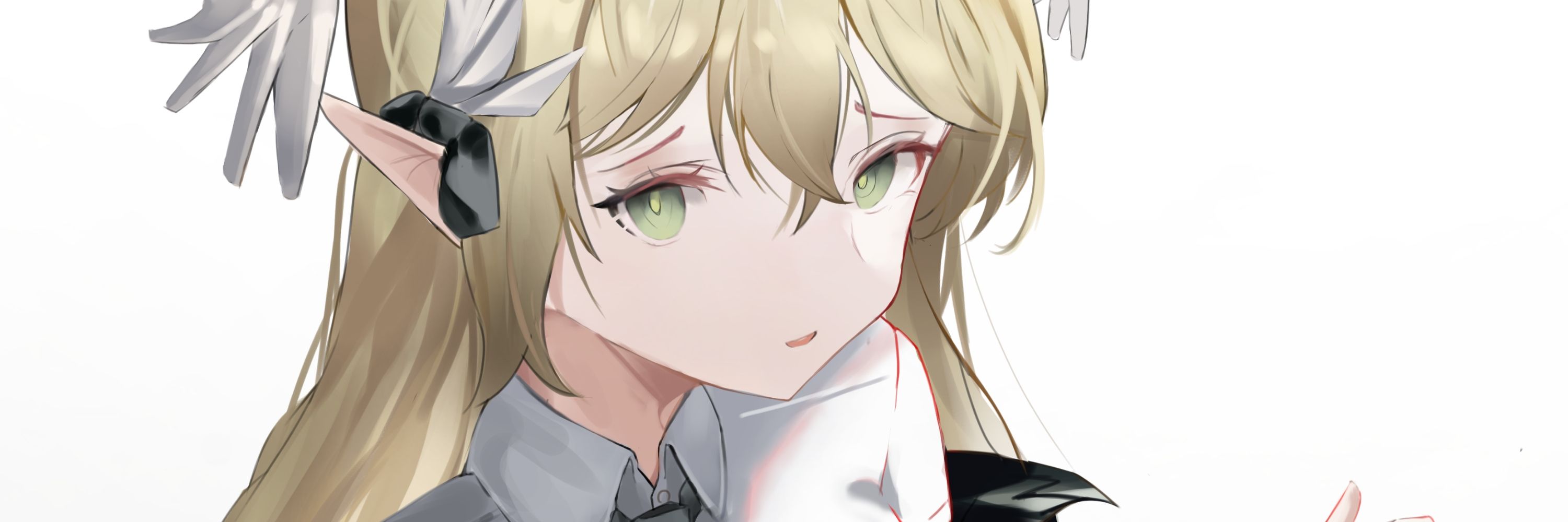 Mikkan