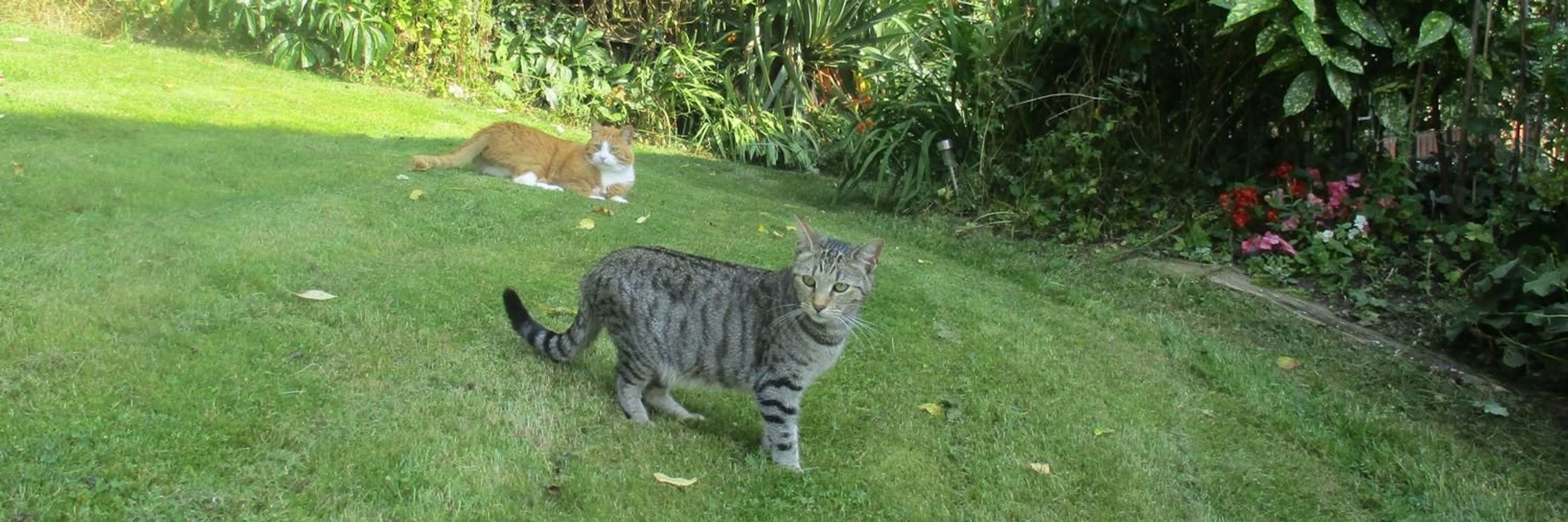 Cleopatra and Oddie