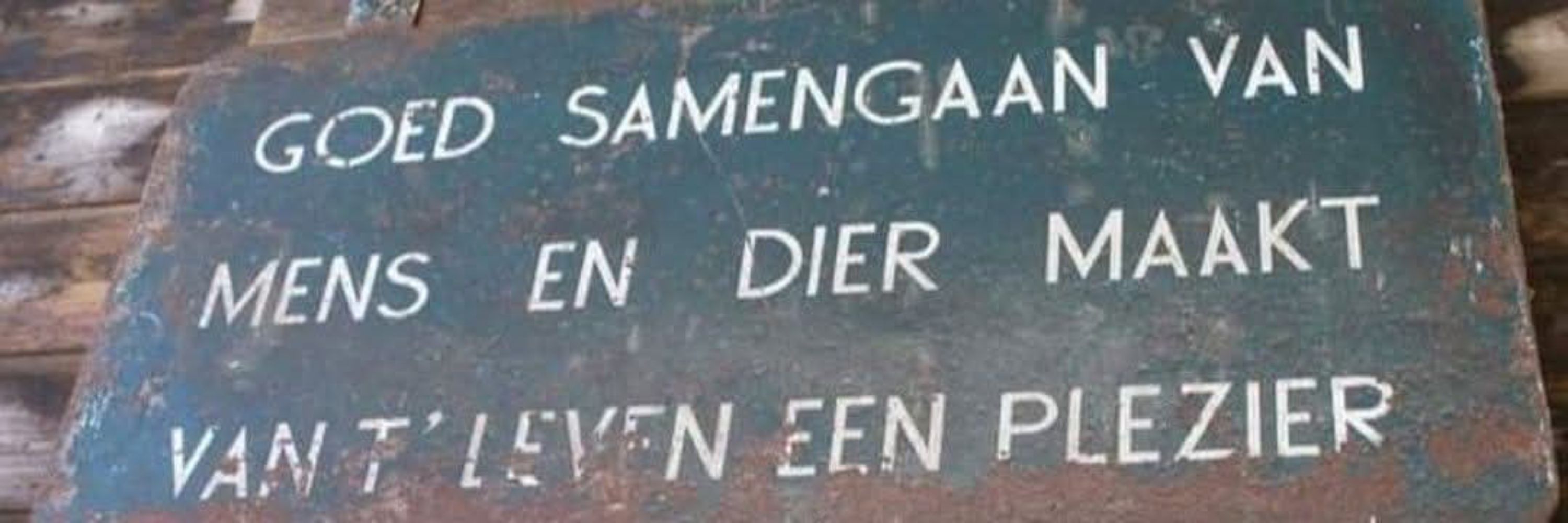 Wendy van der Steen