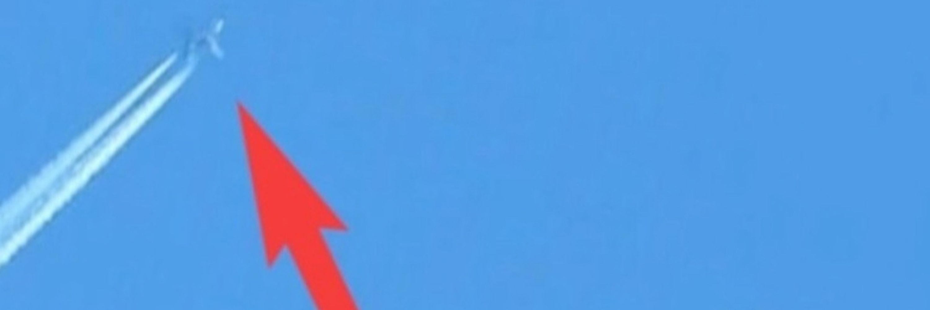 The