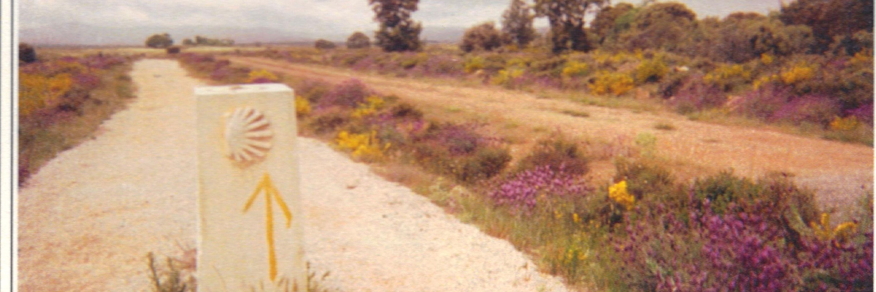 Further Along