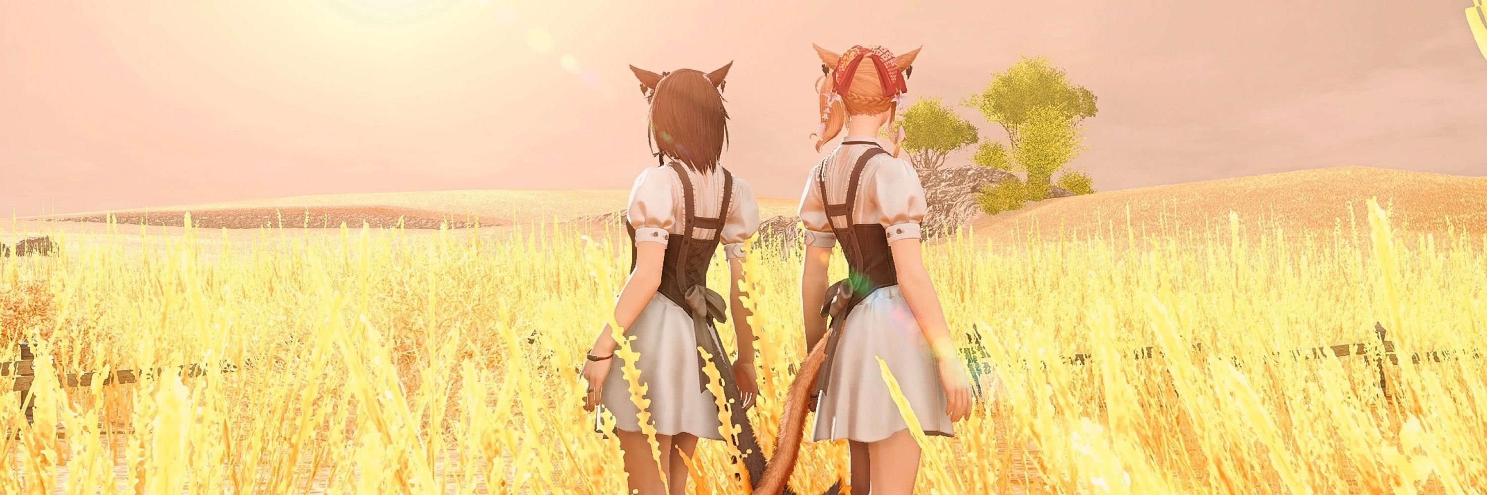 あや@Garuda