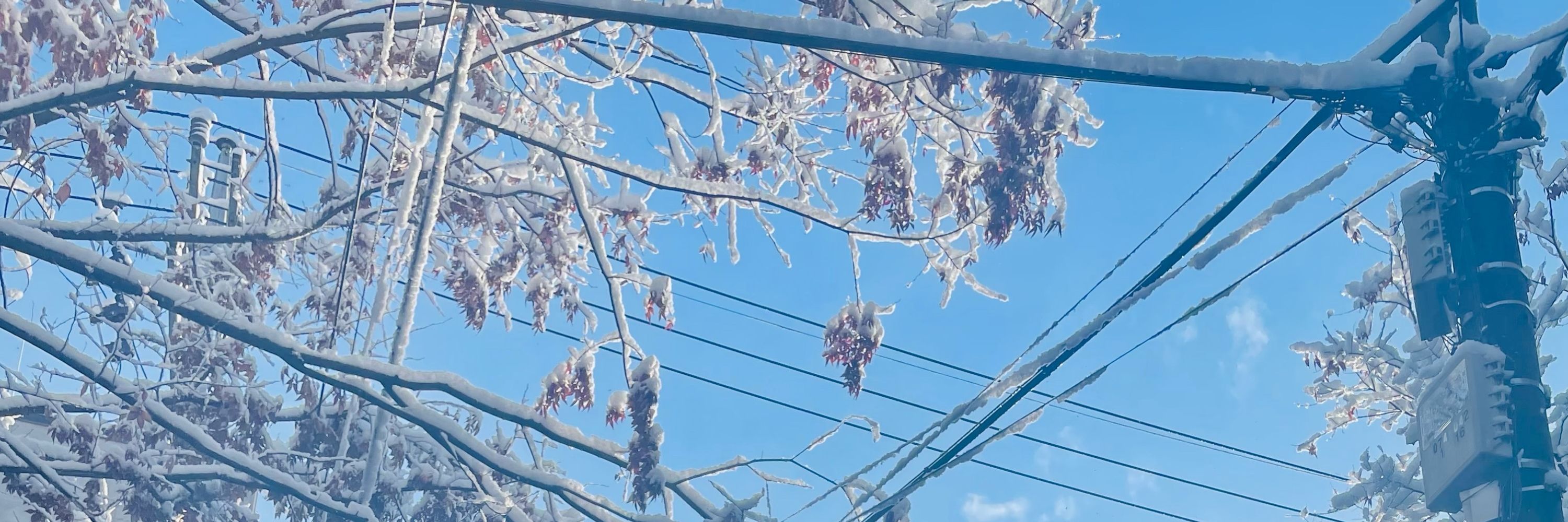 흑심