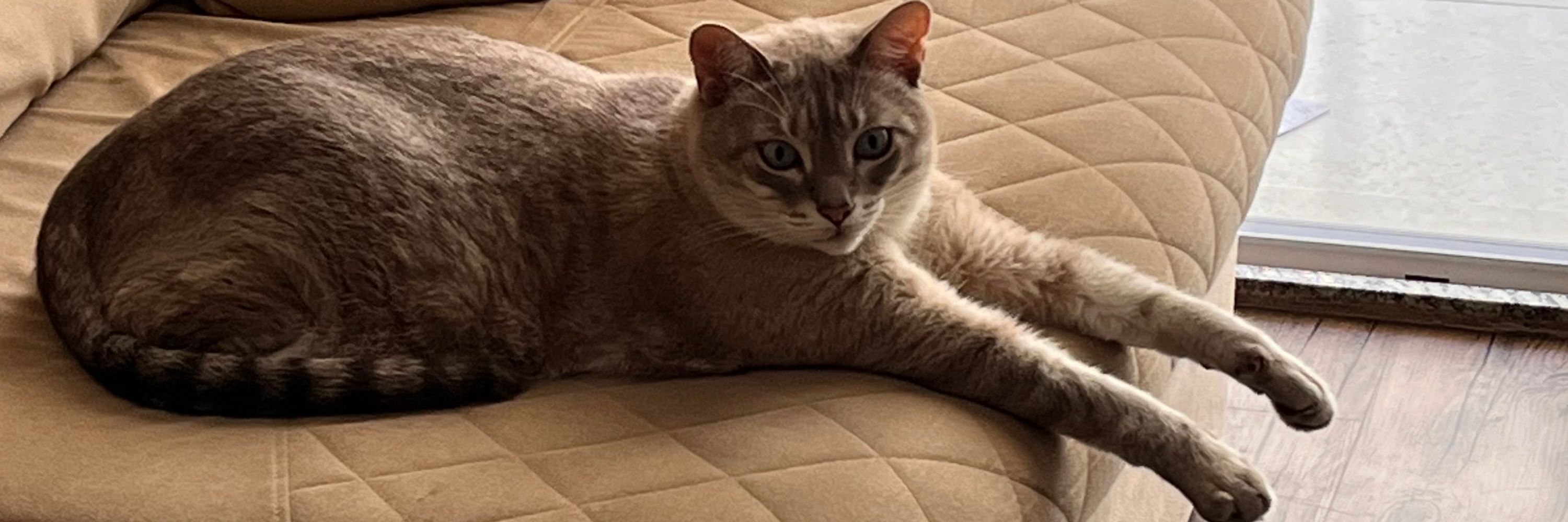Léo 🧣