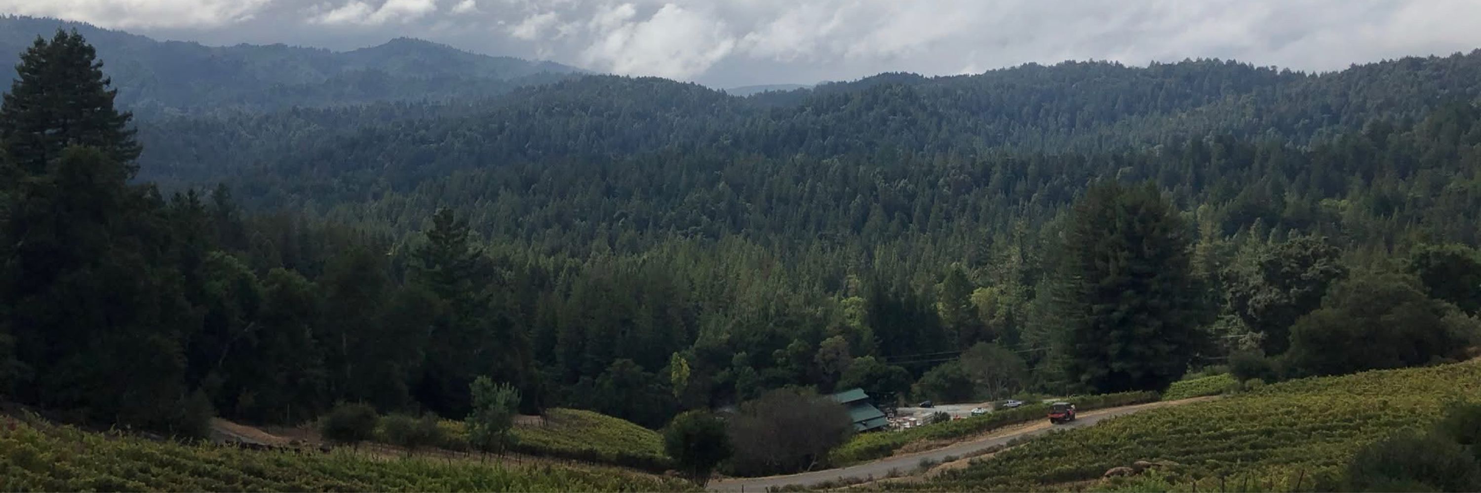 Big Basin Vineyards