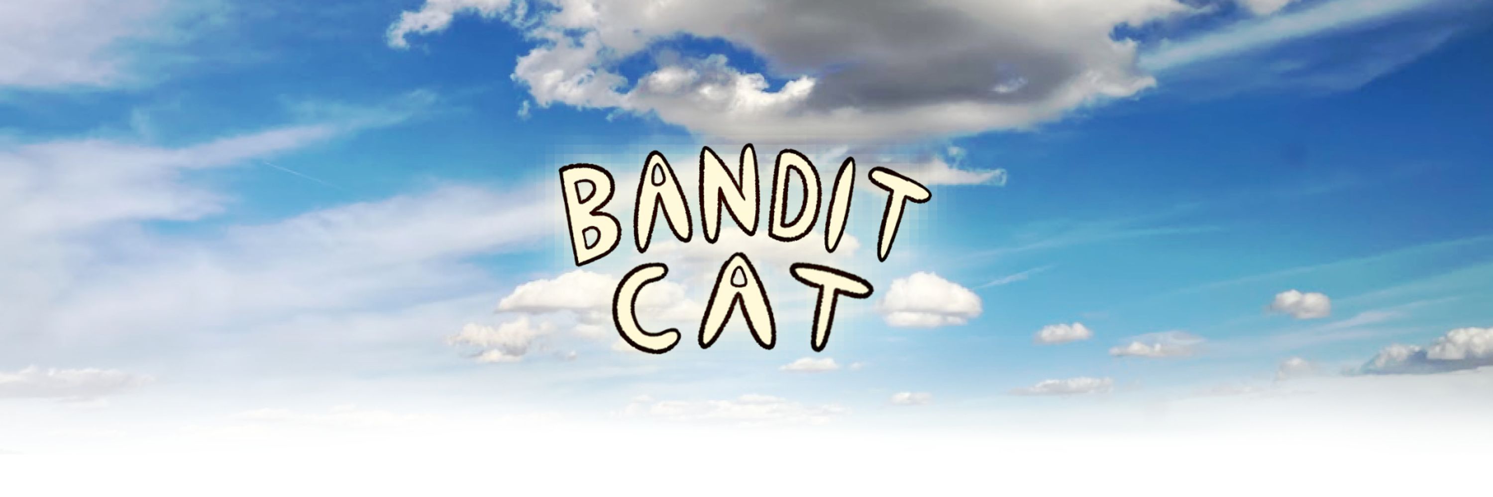 Bandit Cat