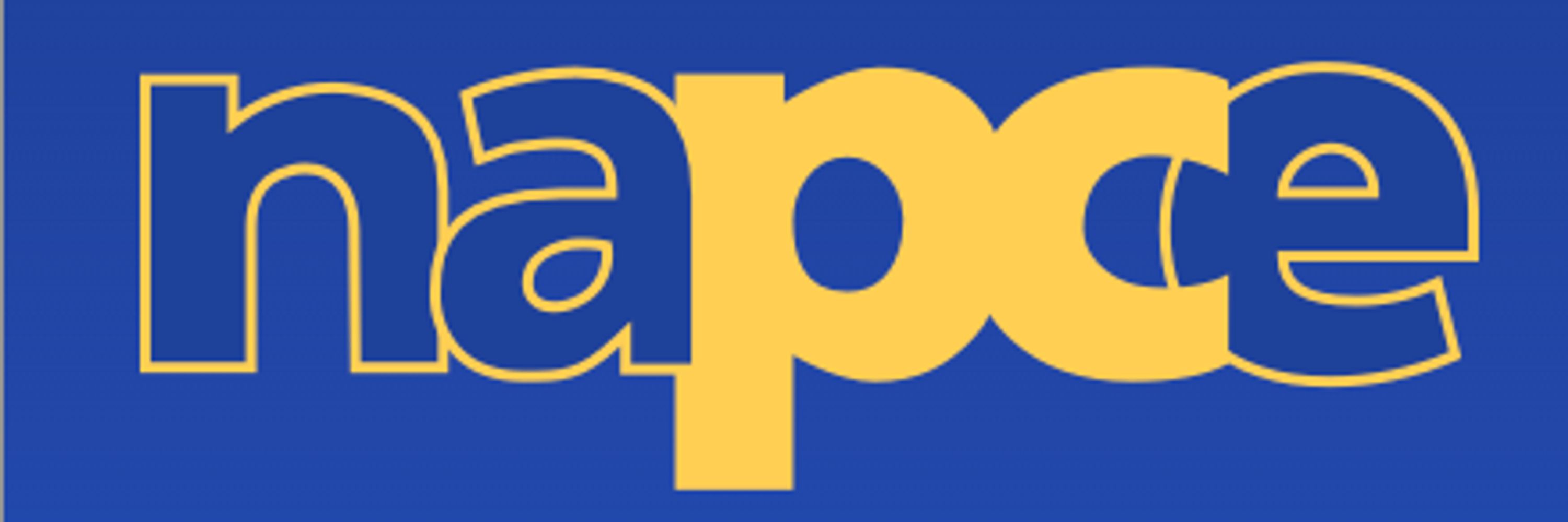 National Association for Pastoral Care in Education (NAPCE)
