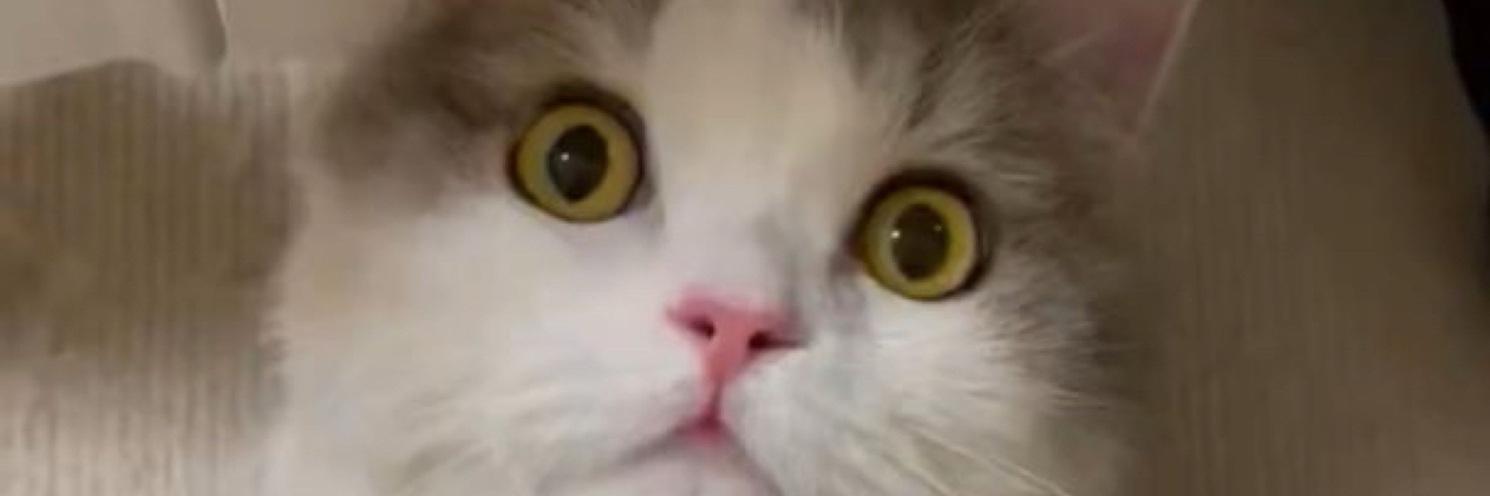 微睡み