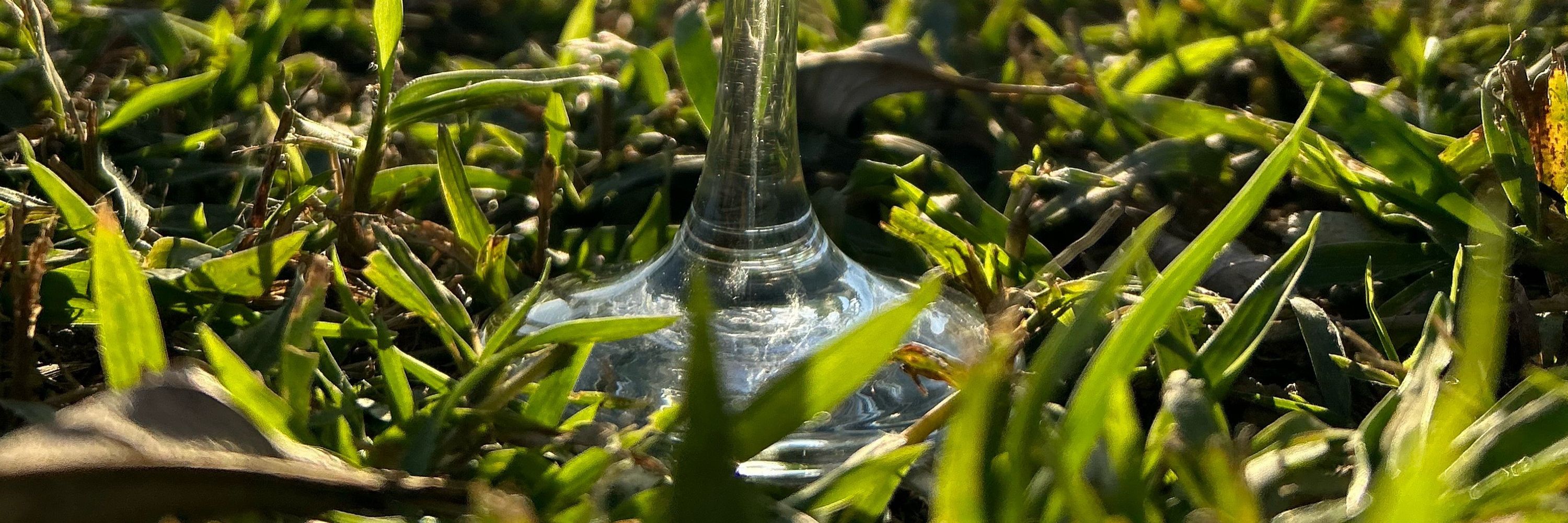Manowel