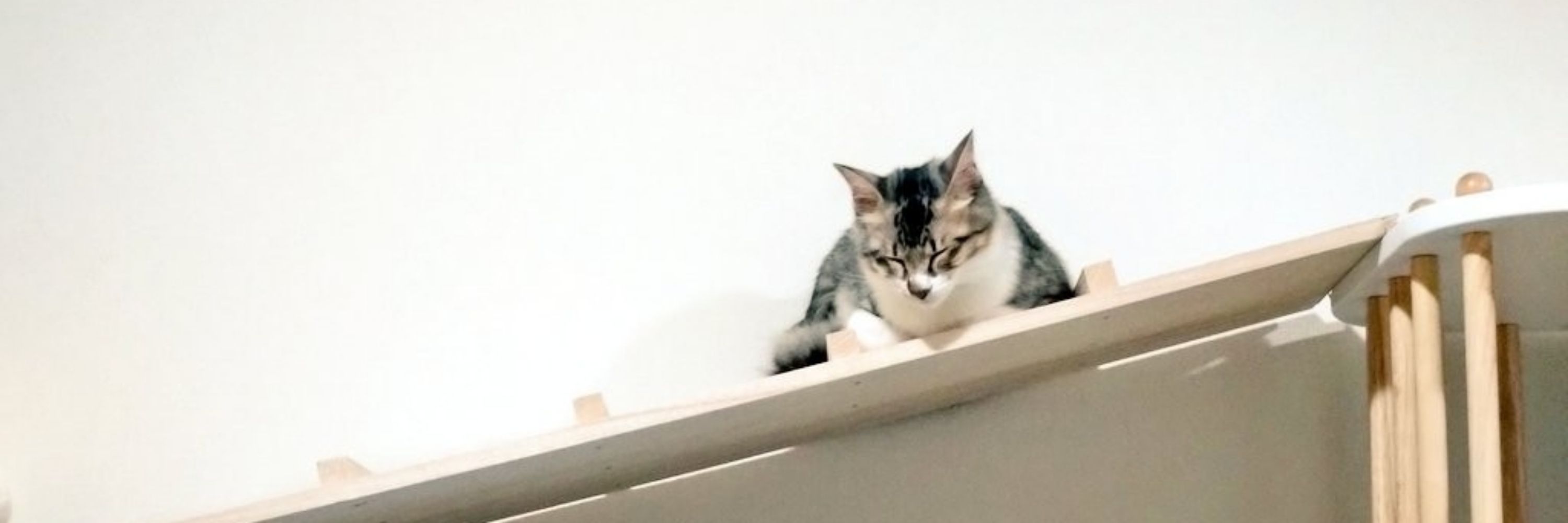 鈴