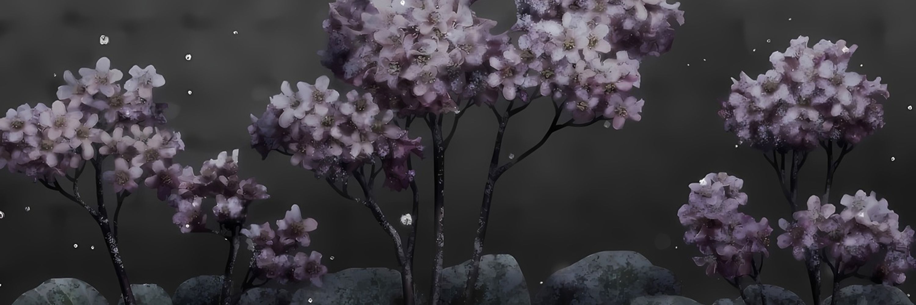 Koto 