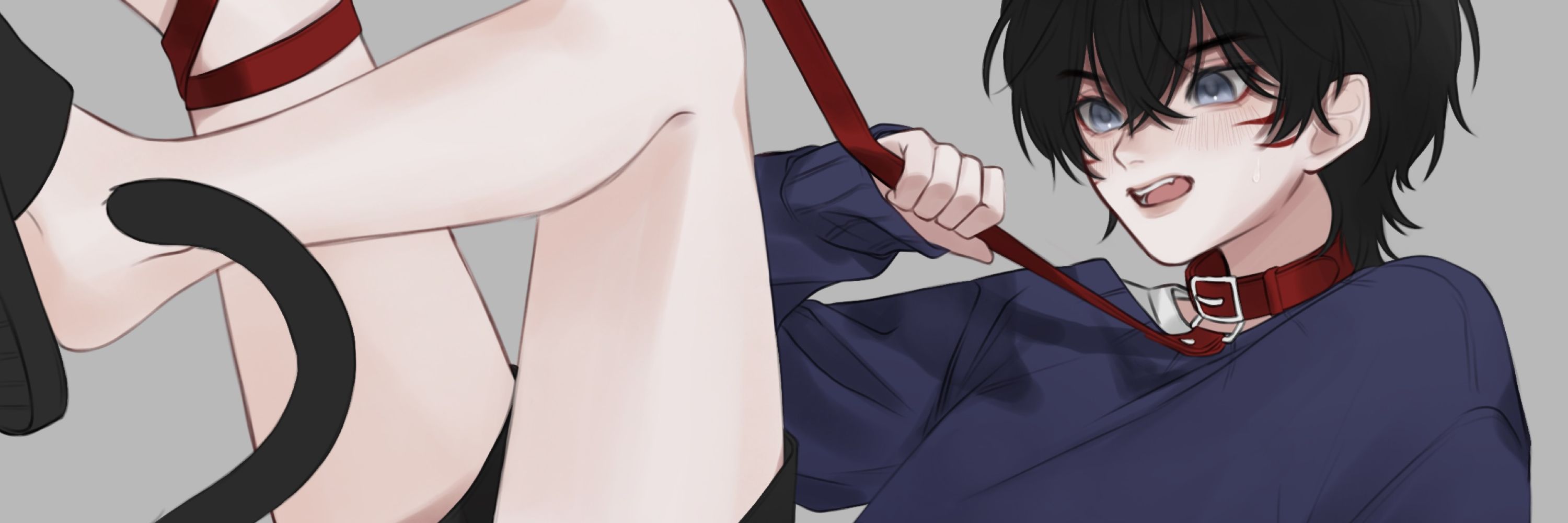 MEIMO (CMS OPEN)