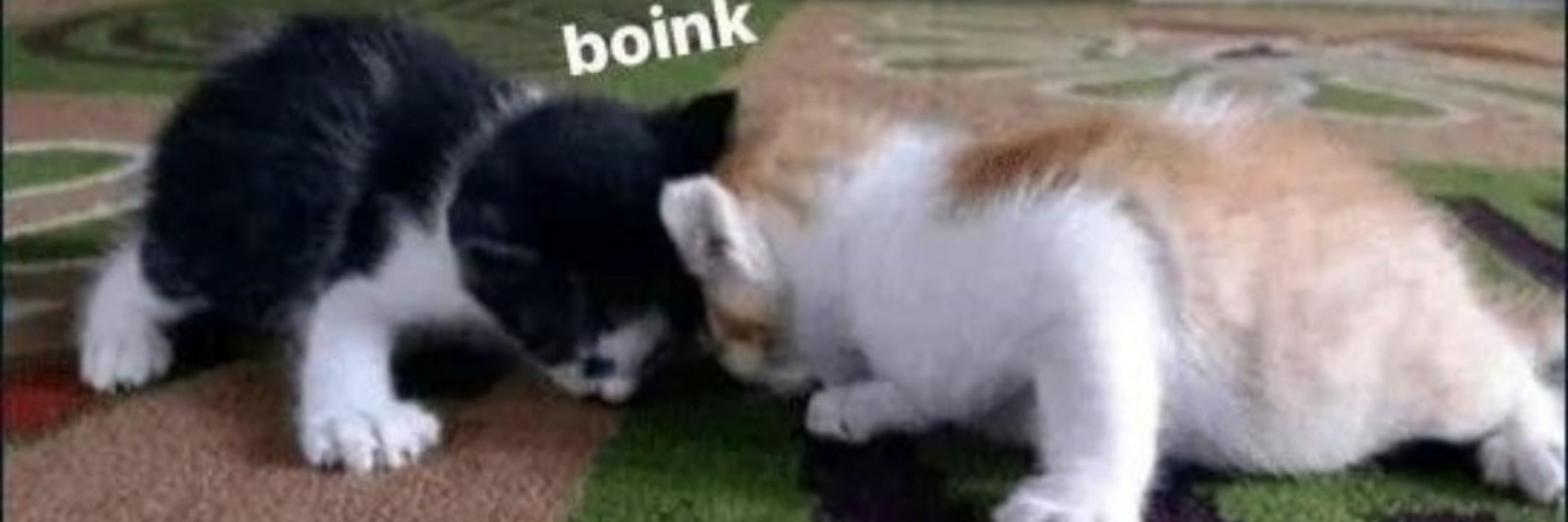 Droné 