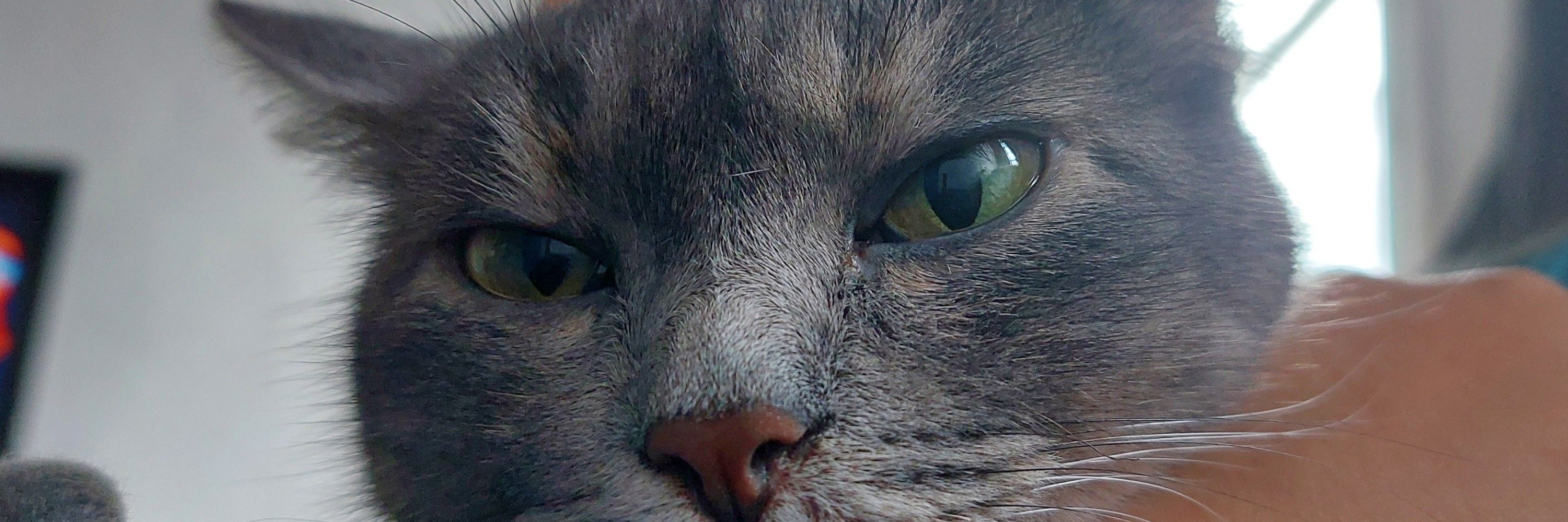 Manuu