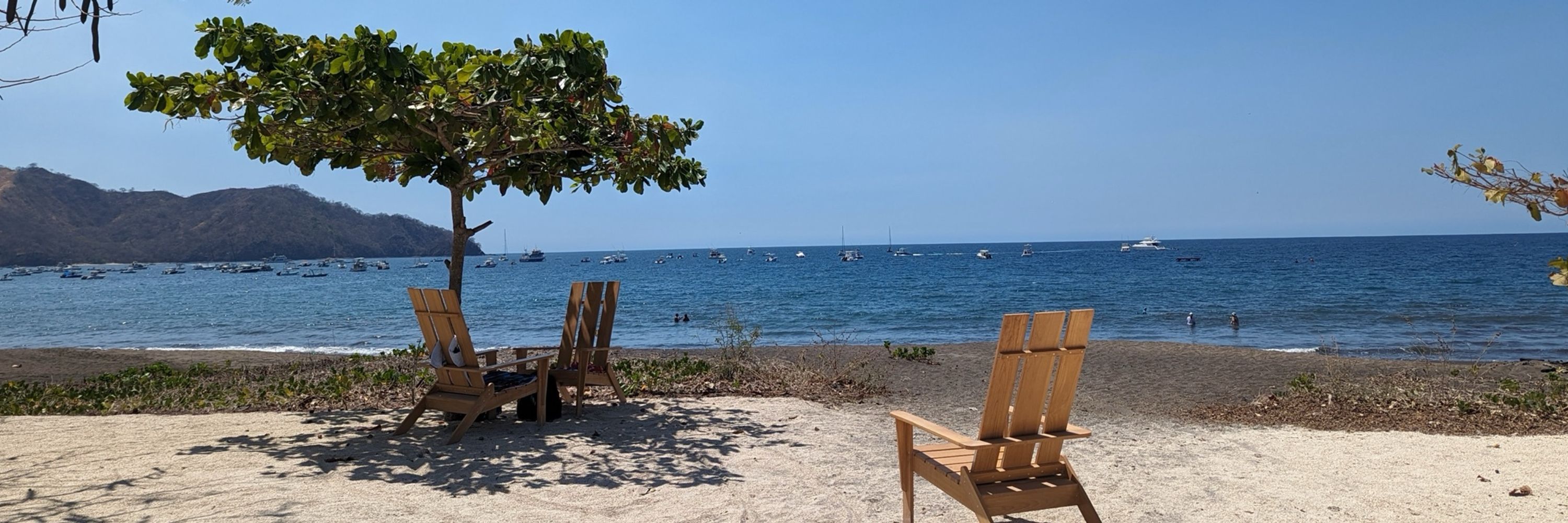 JM 🇹🇹