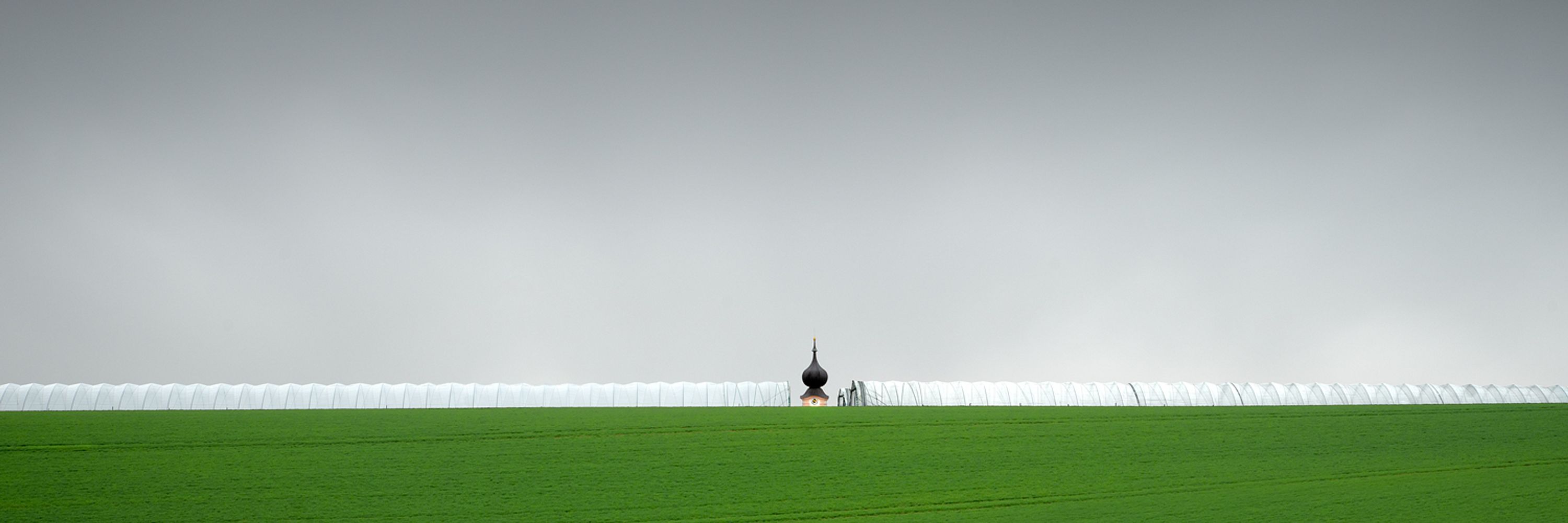 Bernd Walz