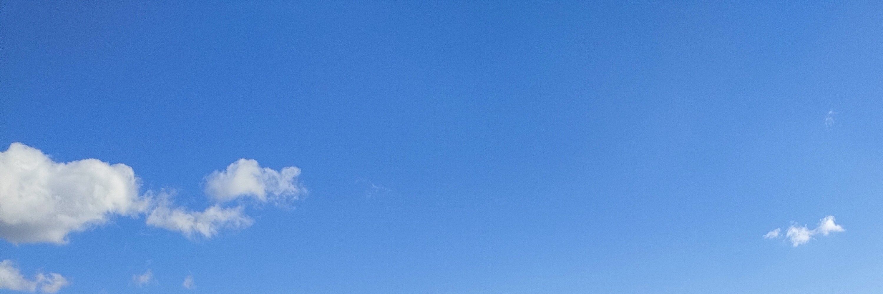 紅菜(Akana)