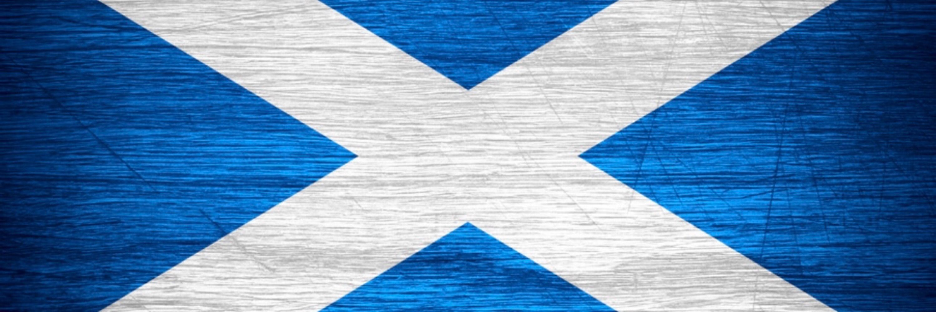 David McColgan 🏴󠁧󠁢󠁳󠁣󠁴󠁿🇺🇦🇵🇸🇪🇺