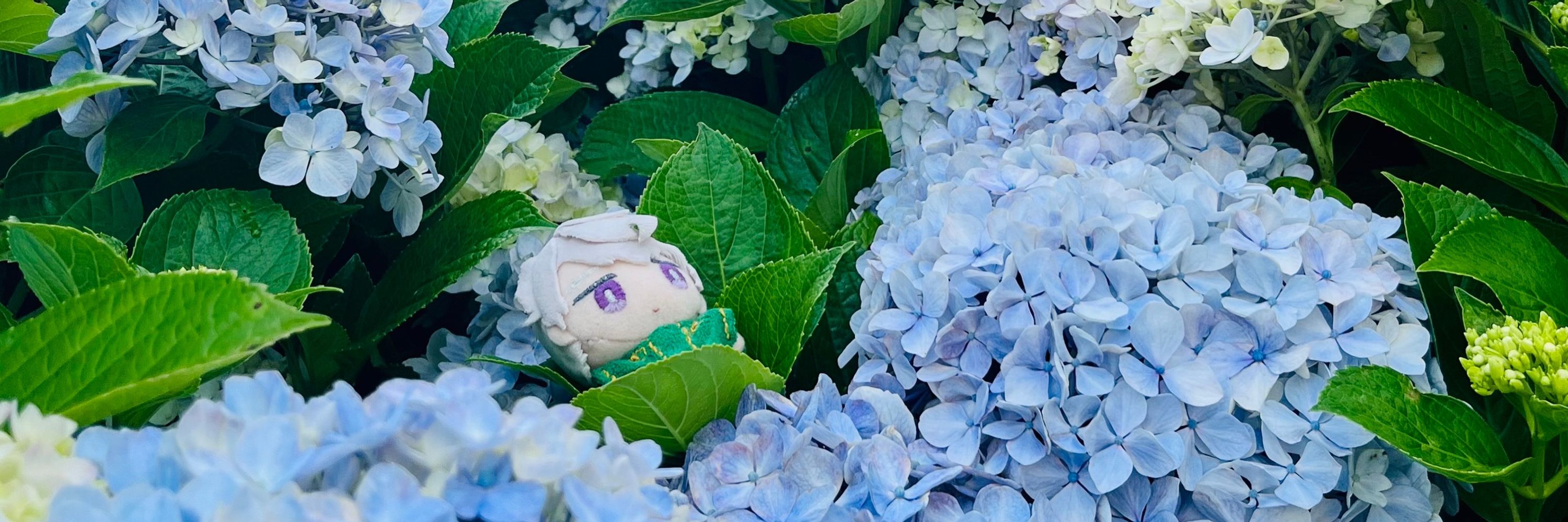 えんぎくん🦑
