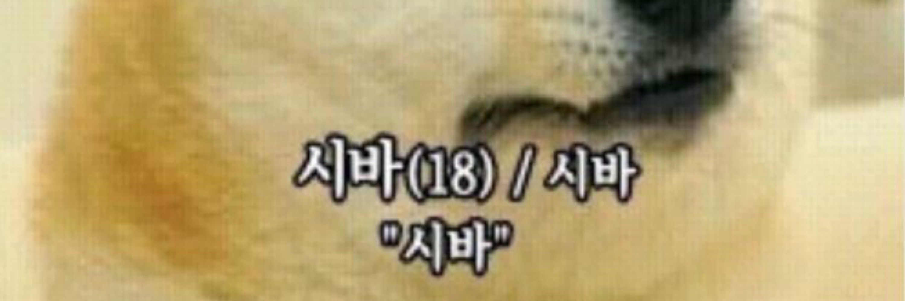 HJ