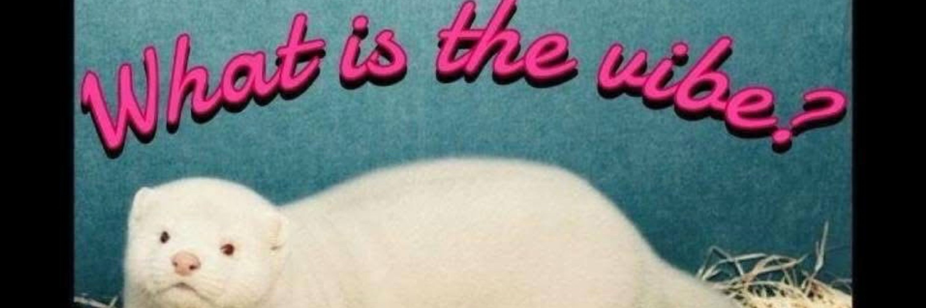 Keir ʕ•ᴥ•ʔ