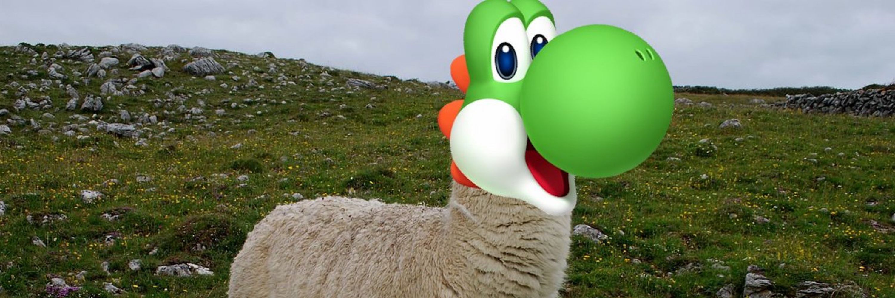 YoshiLeLama
