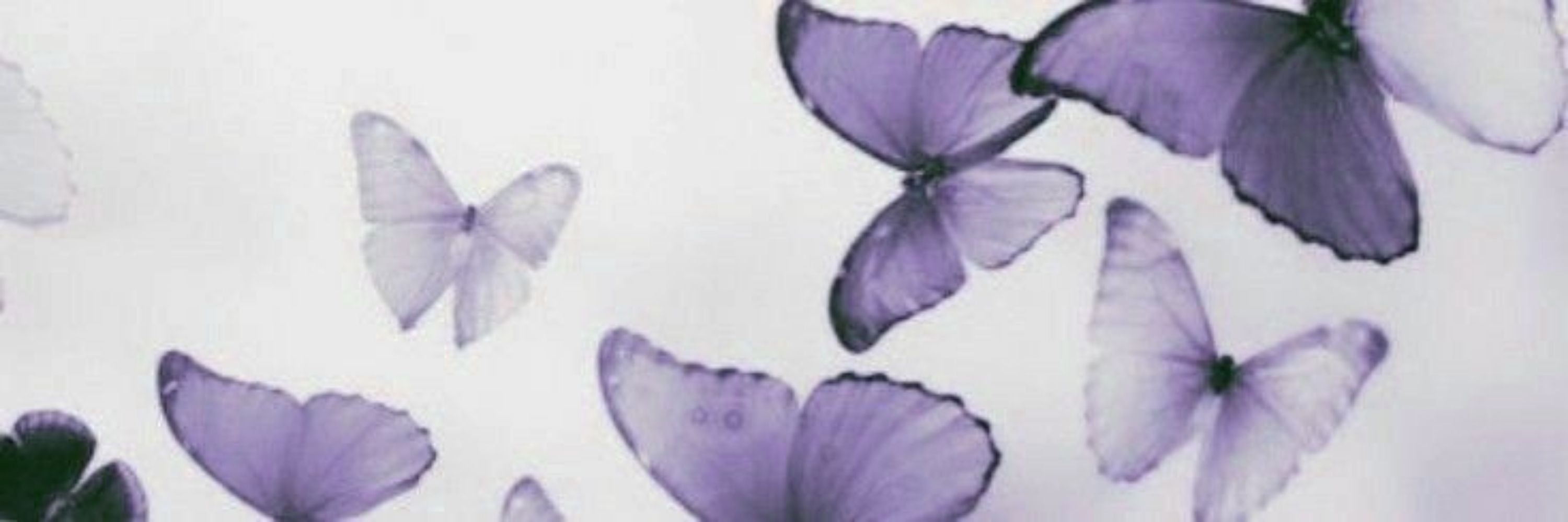 ꩜𝑀𝑎𝑟𝑐𝑖꩜