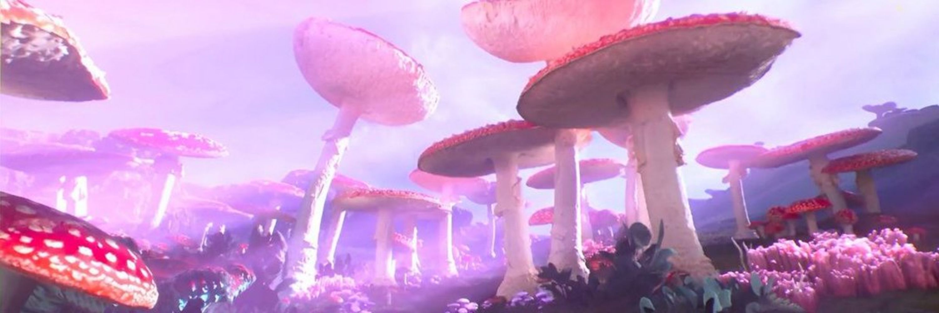 Venus 🍄