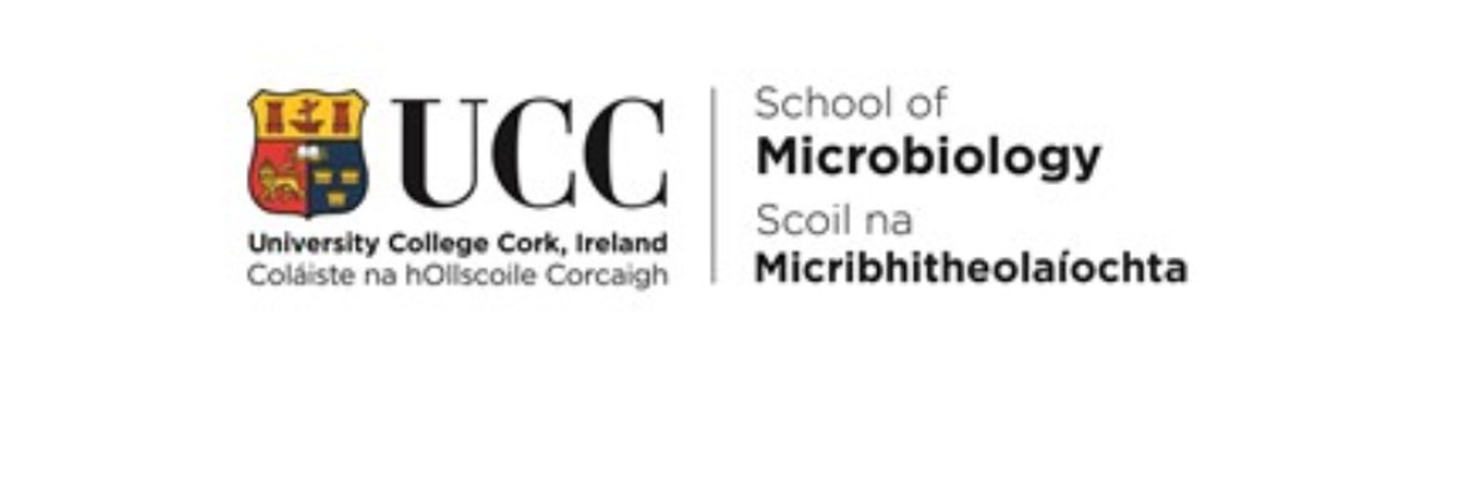 microSCRUM