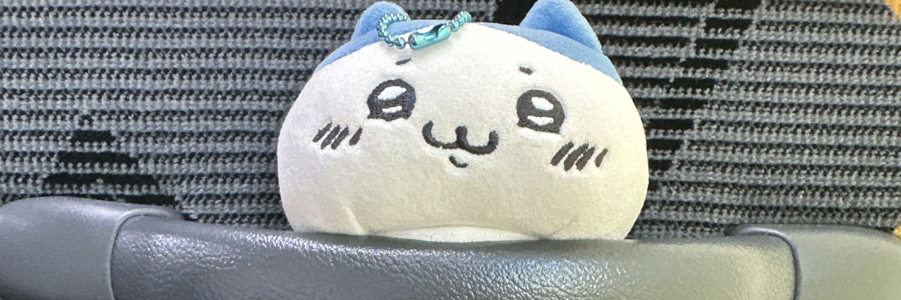 ｺﾞｯﾓ