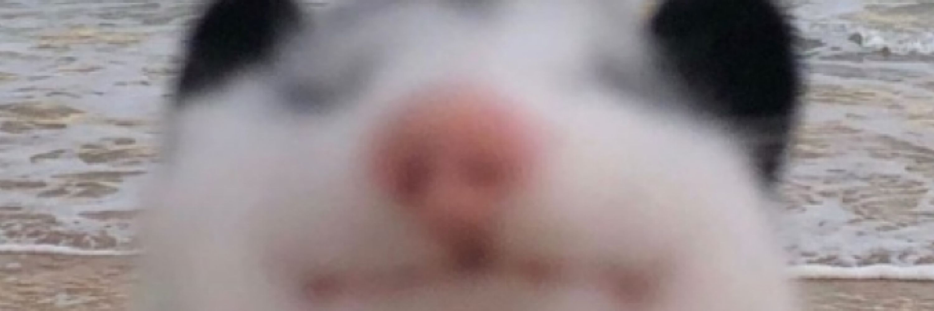 Ben