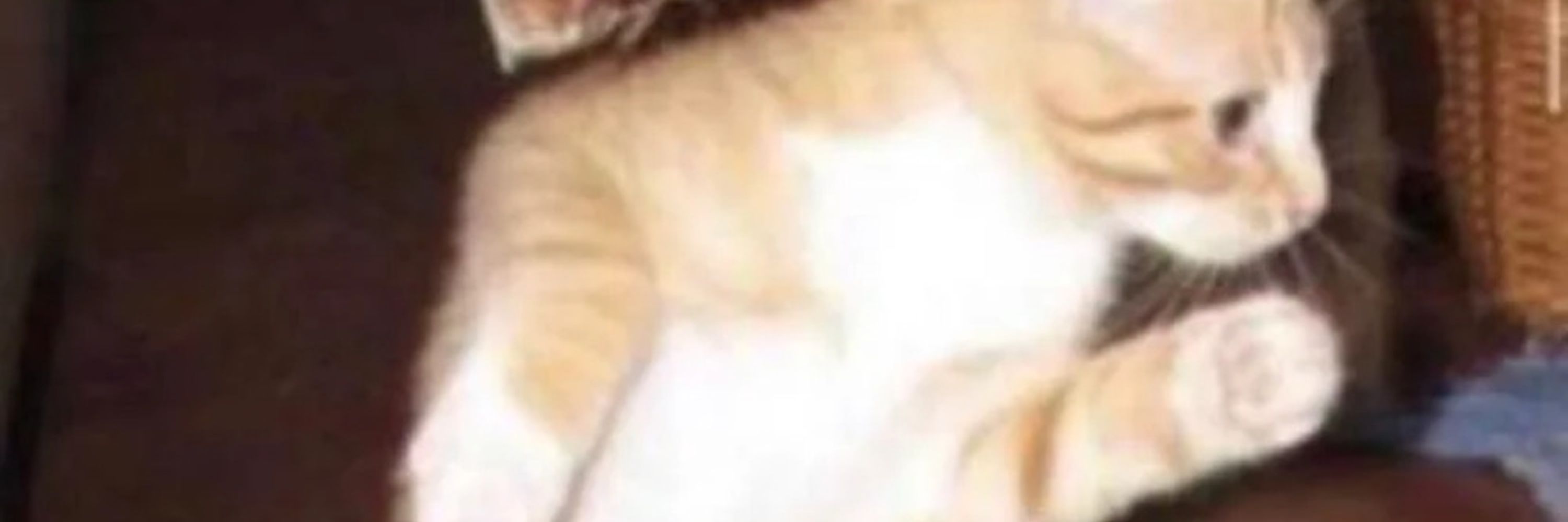 Ray