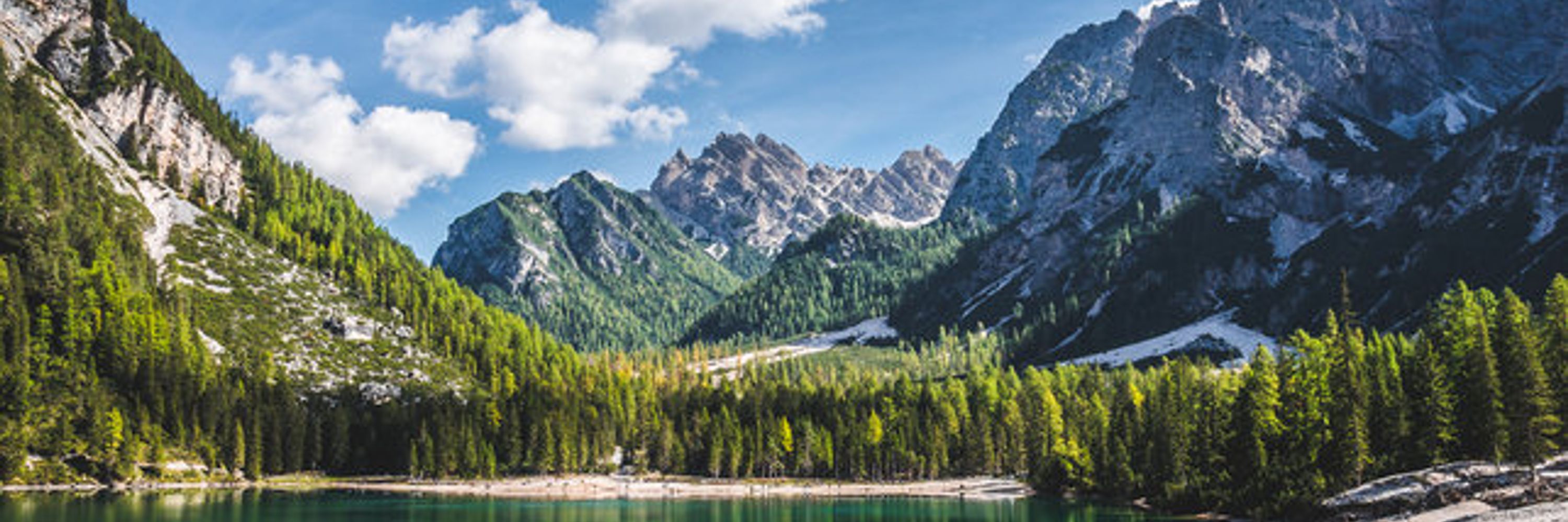 Alpensee eSports