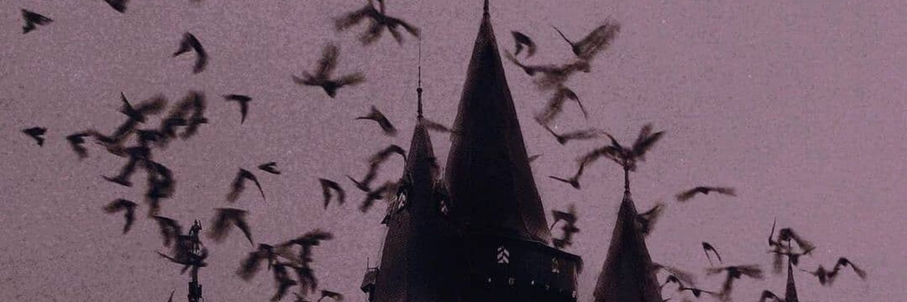 🥀𝖂 𝖔 𝖑 𝖋 𝖒 𝖆 𝖓🥀