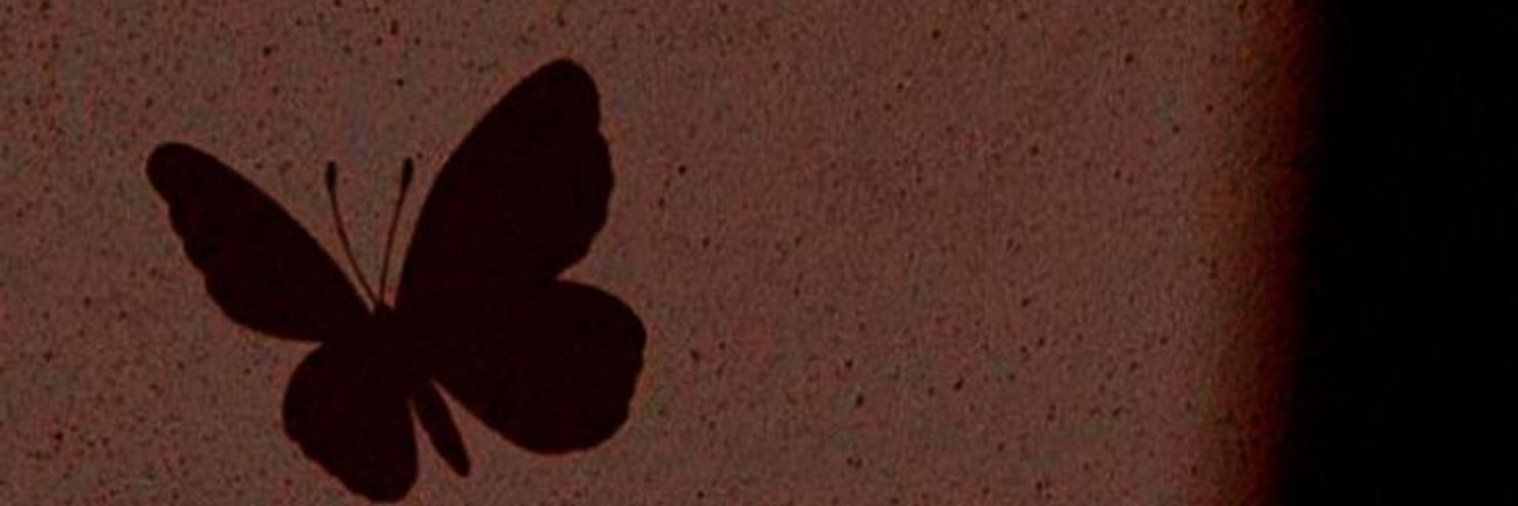 Haryn🦋