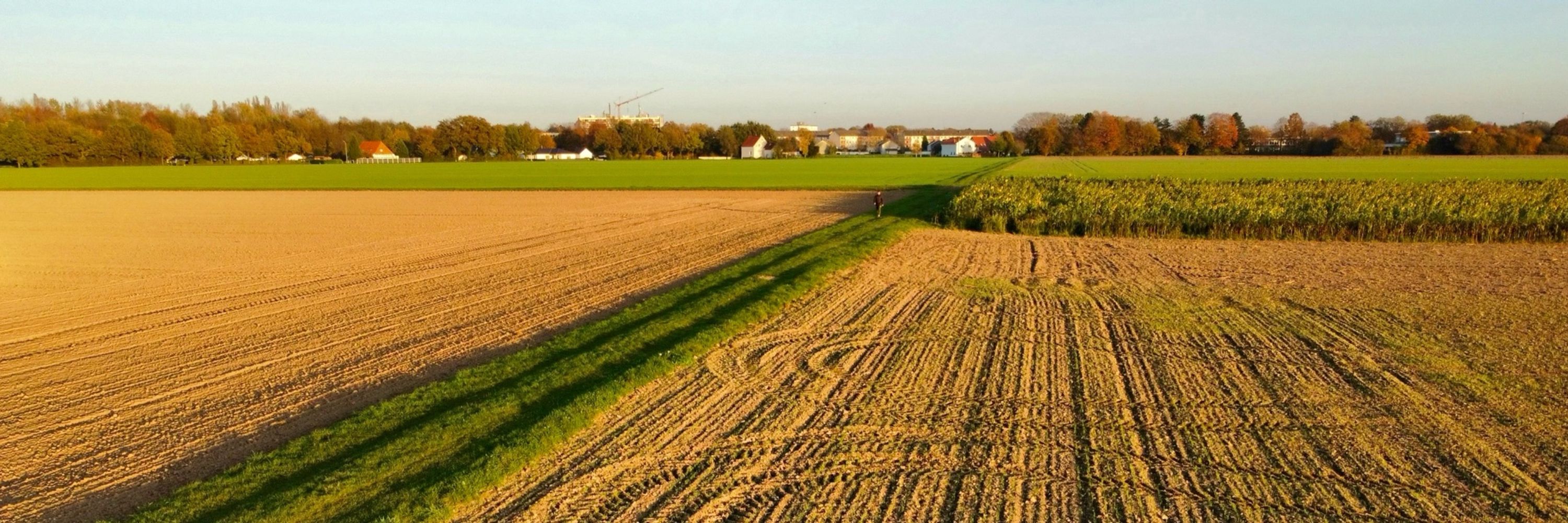 Grüner Ambubeutel