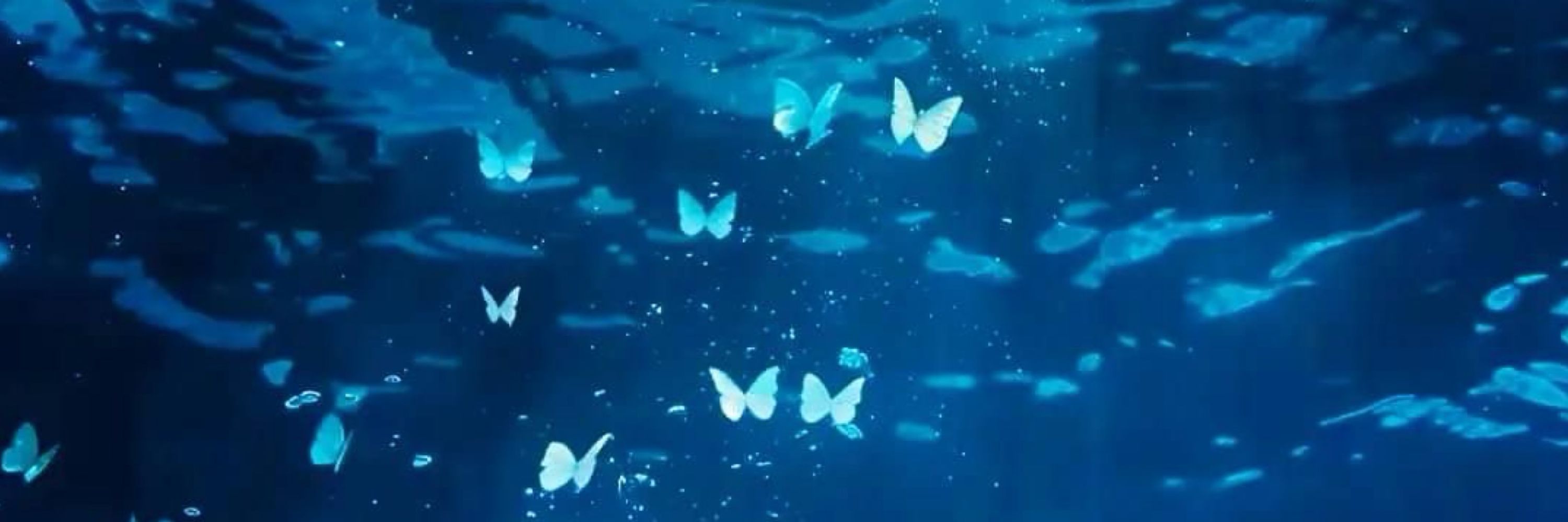Toru 🦋 | 2-C (ตอบช้า)