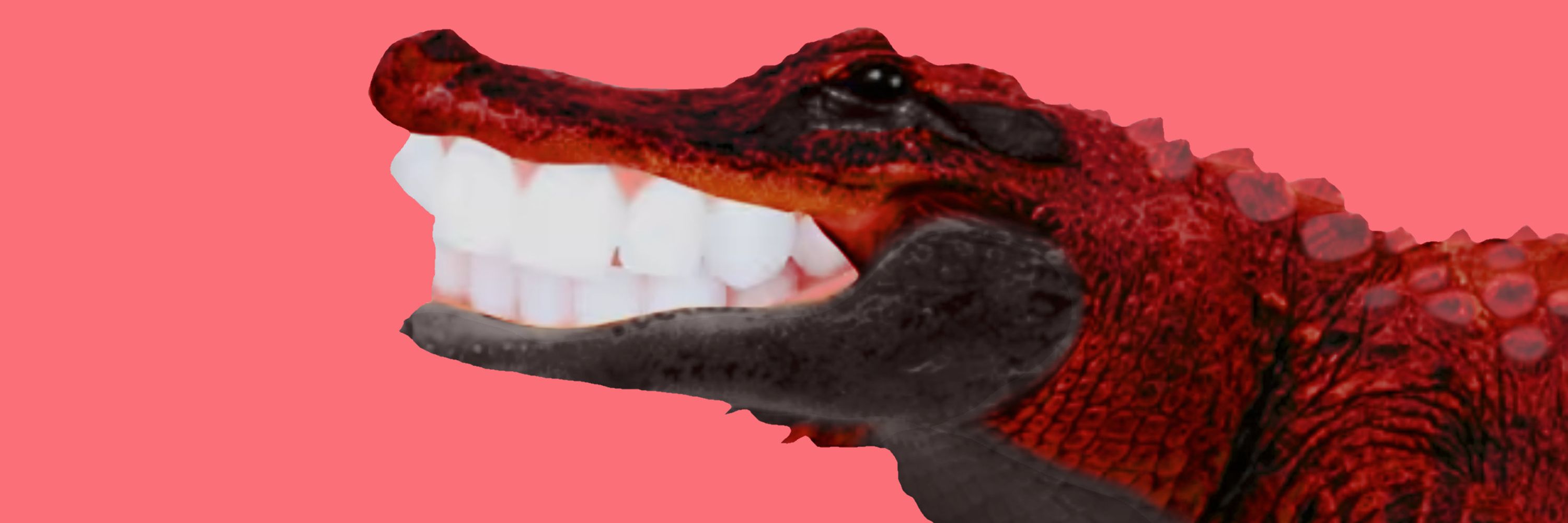 Michael 🌈🐊🔞