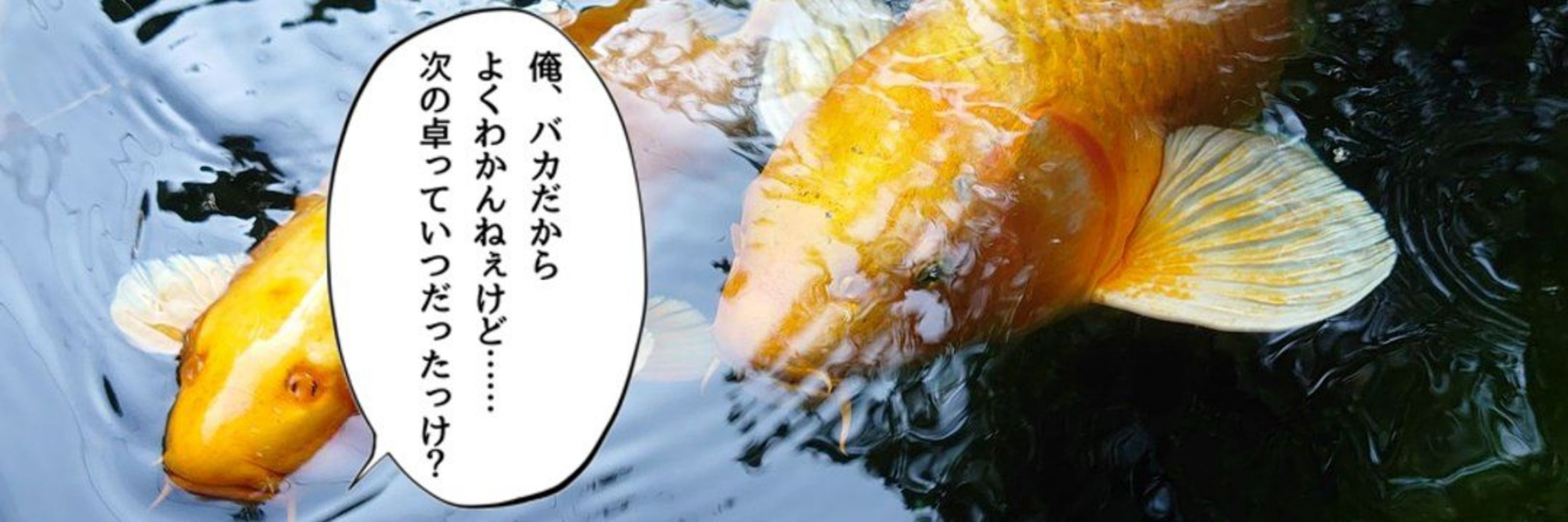 ひら@卓