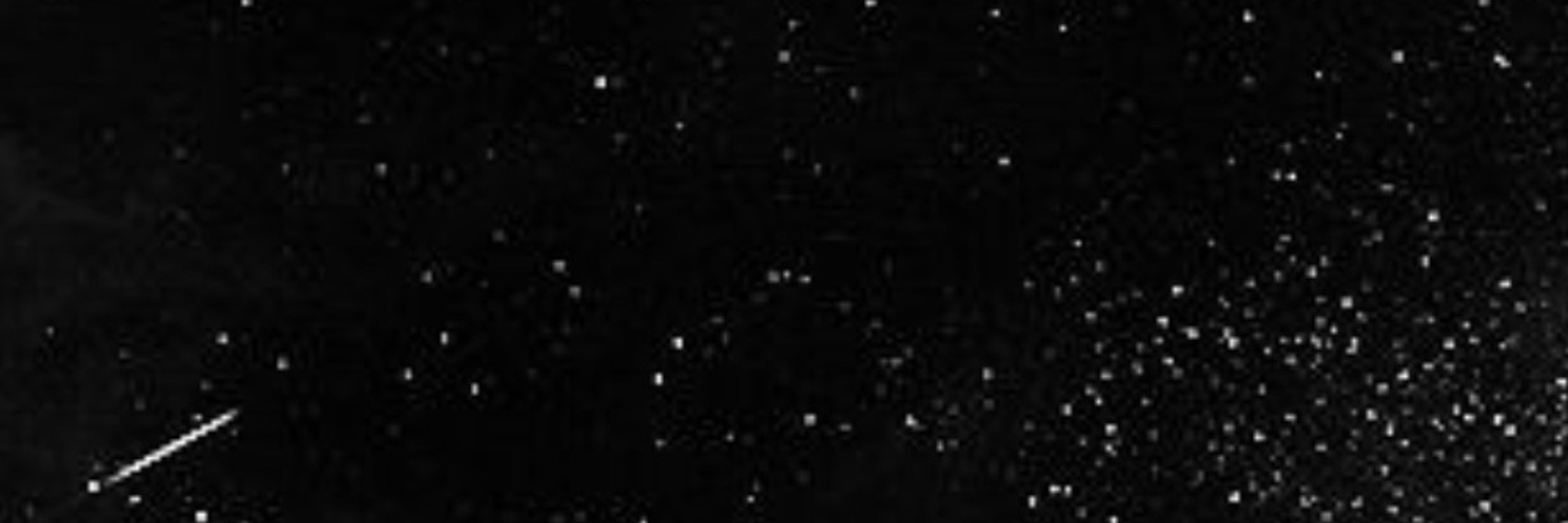 STARSHOT