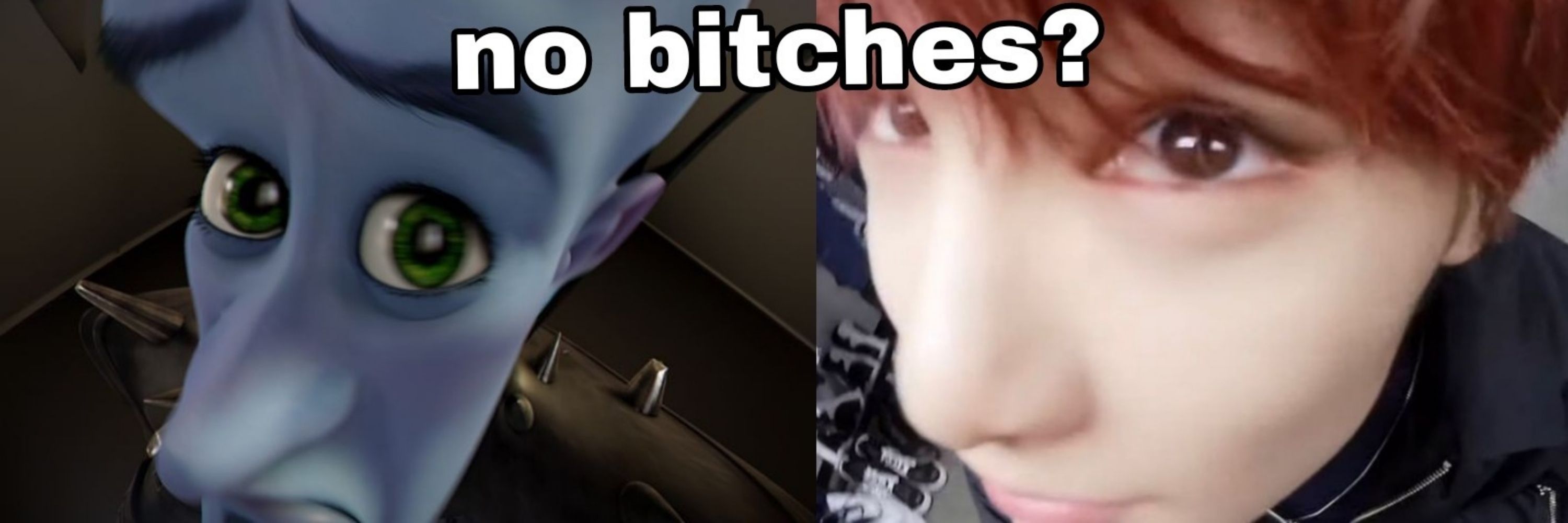 vi
