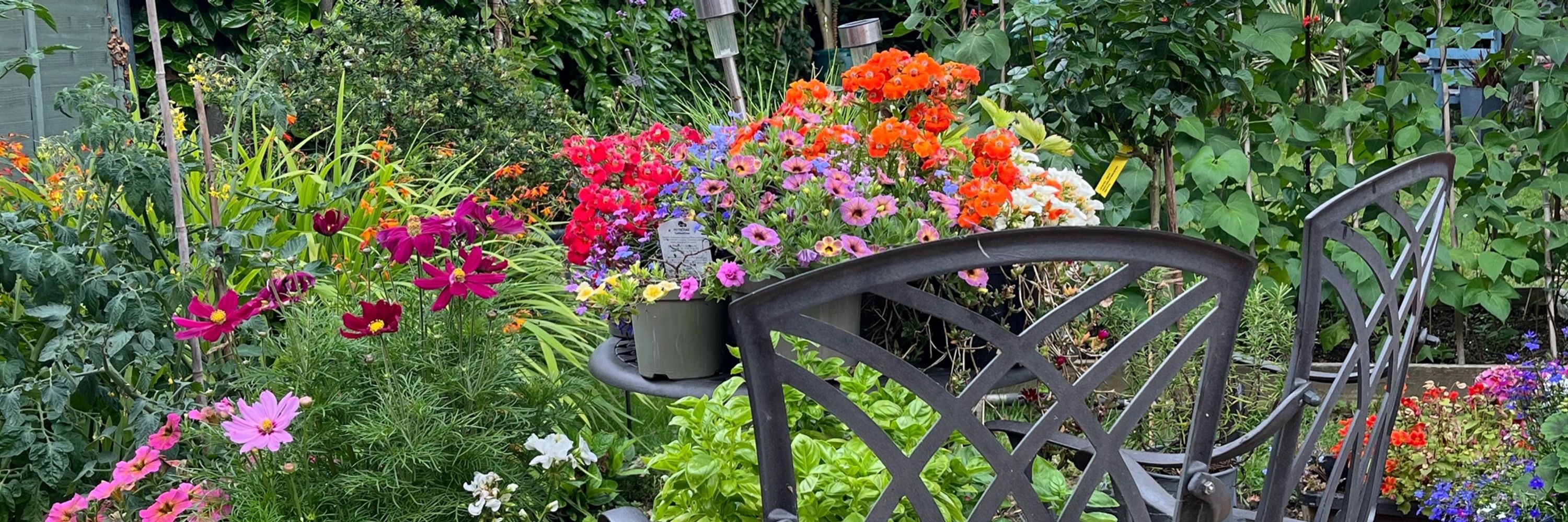 Garden Warrior