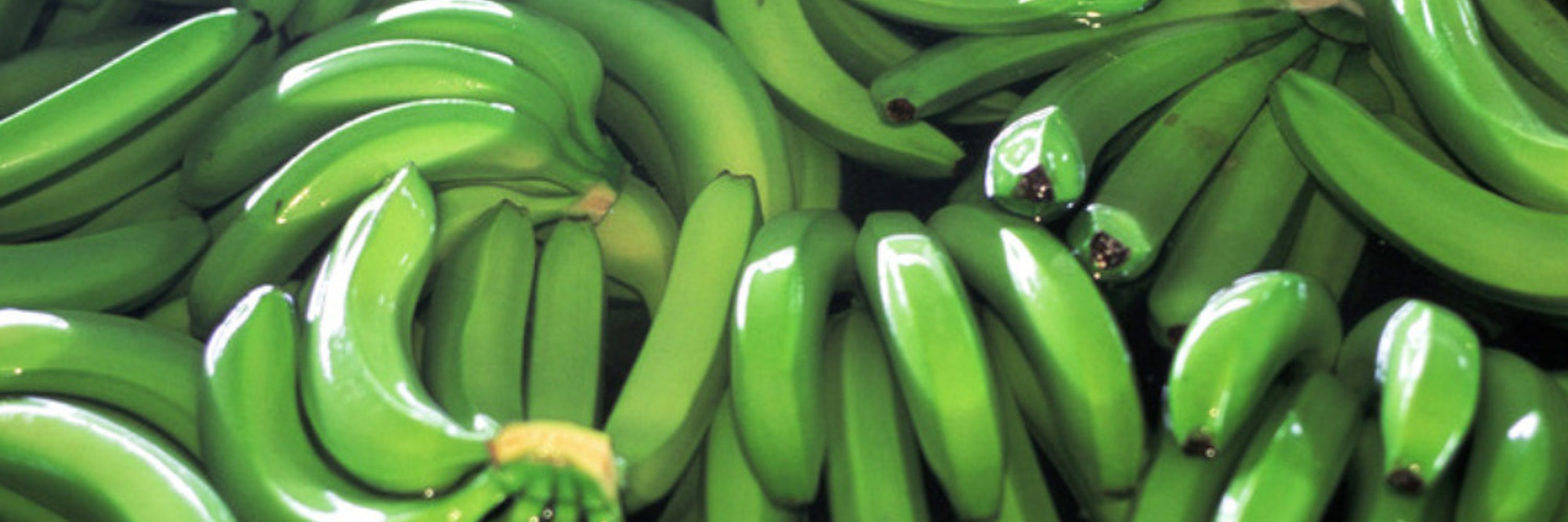 Banana Hoard