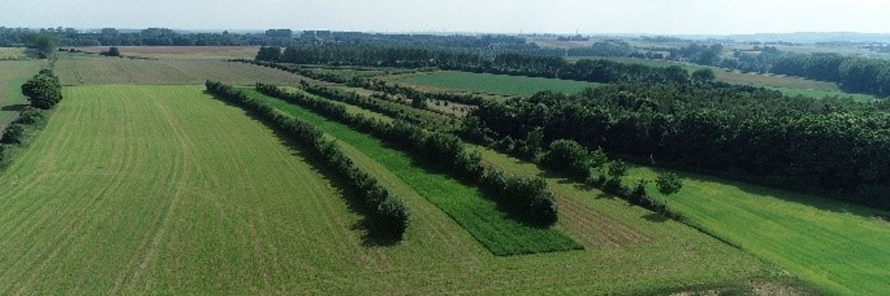 Land Use development for Climate Adaptation - LUCA at IfaS
