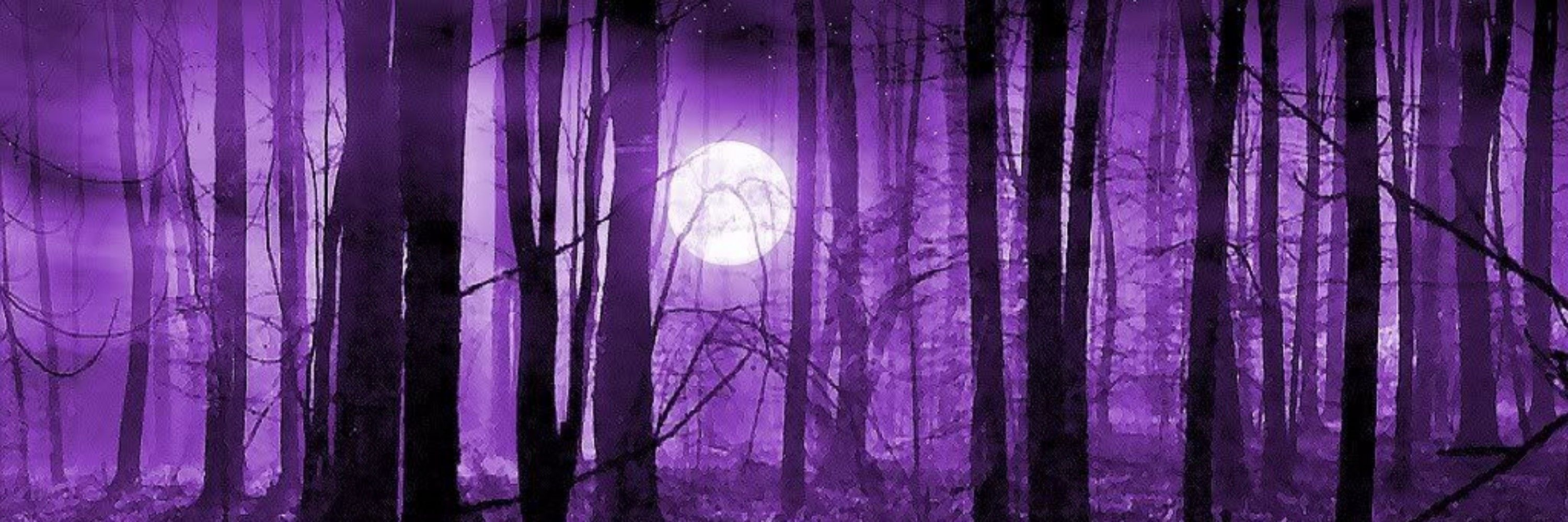 Twilight ✨️💜