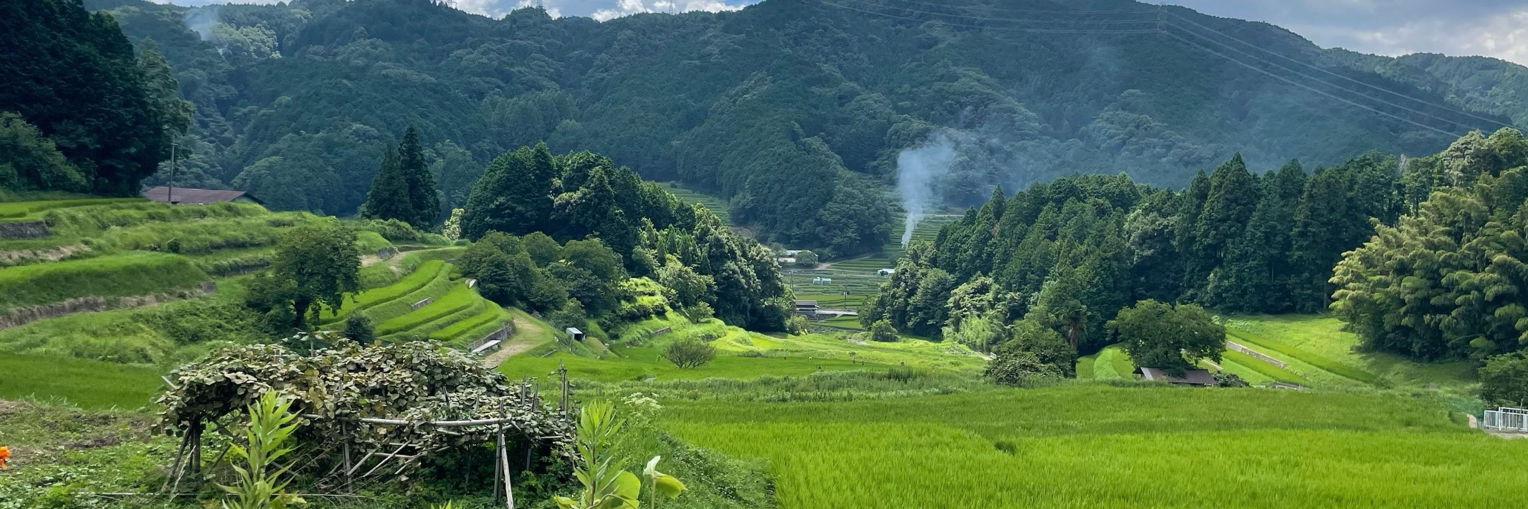 さん・らいす