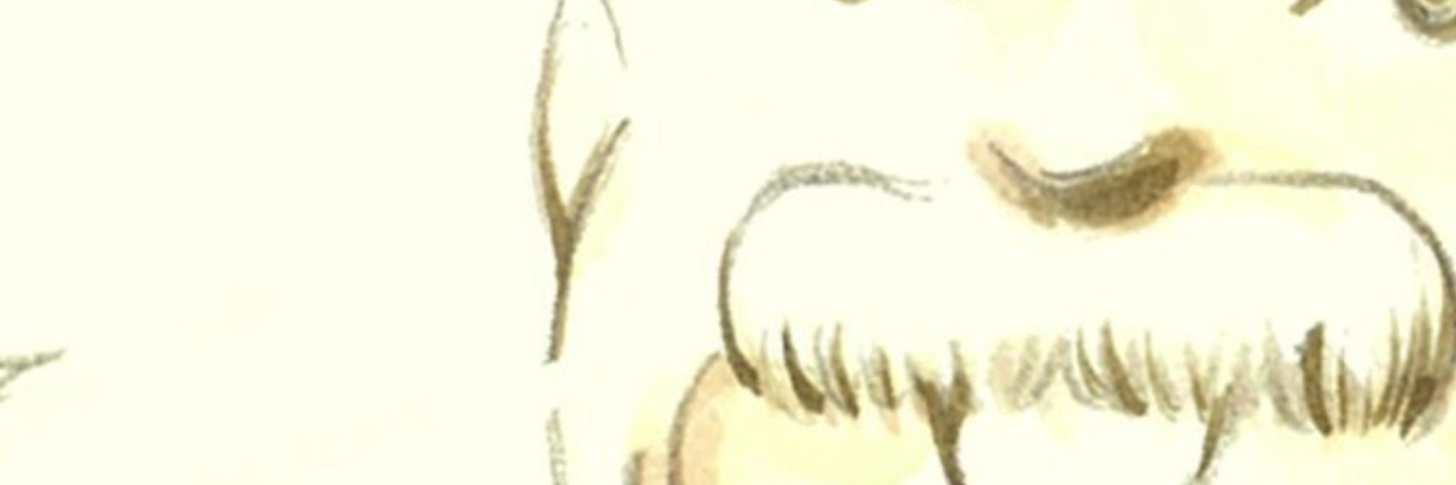 まなびこ