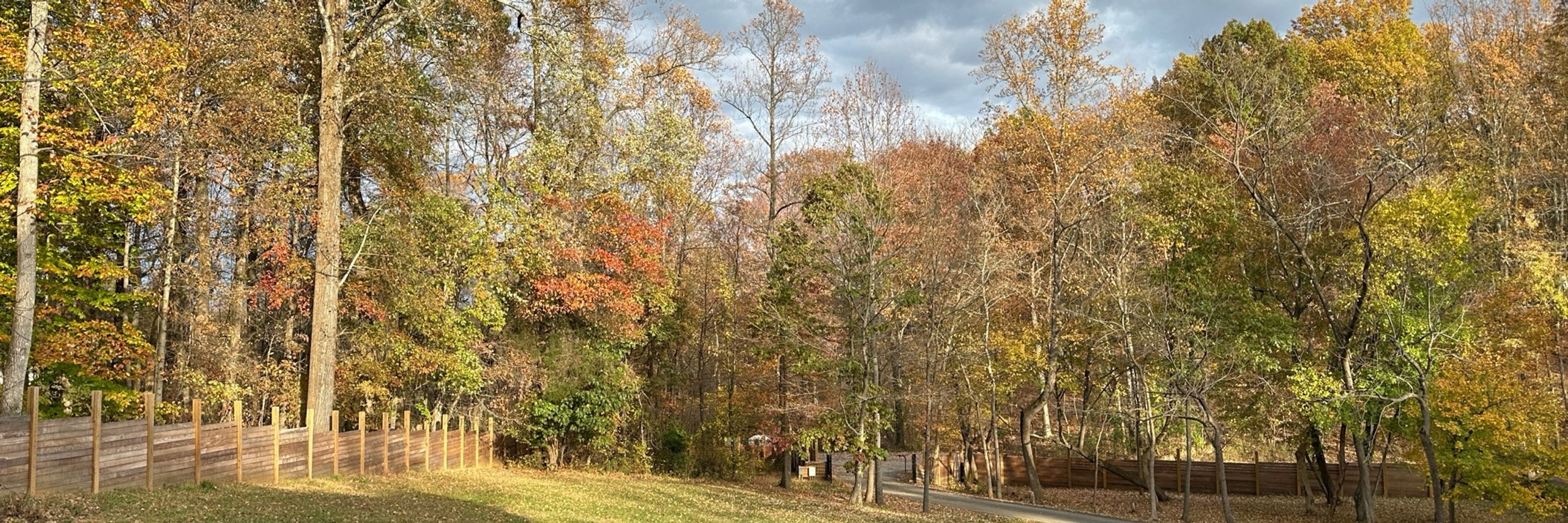 SeminoleDVM