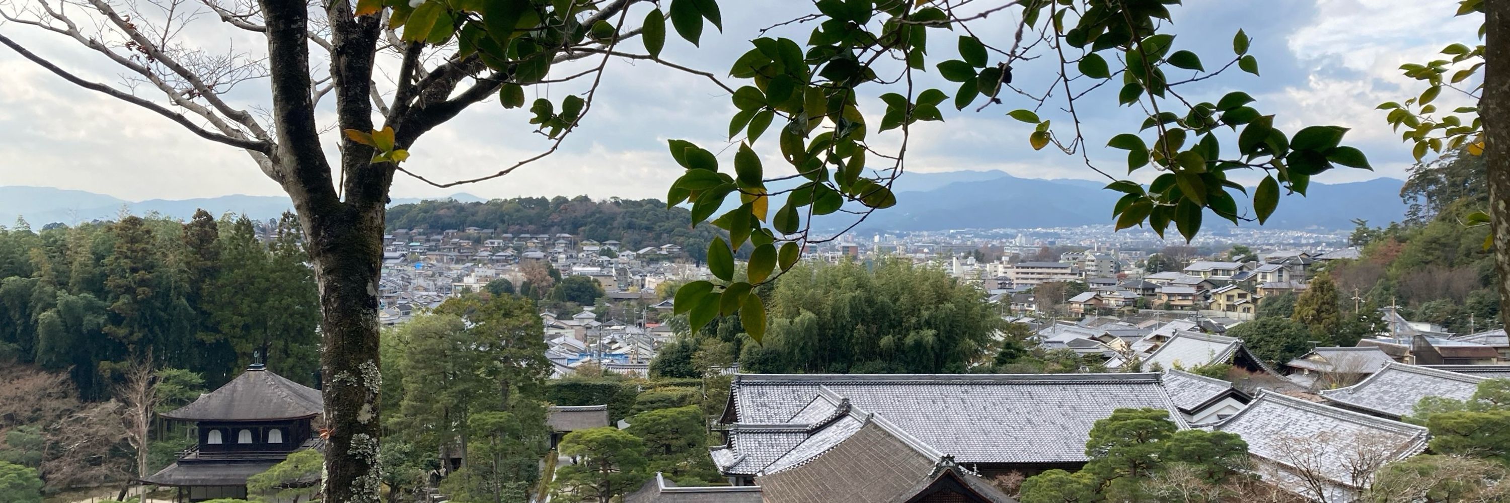 もちもちのやま
