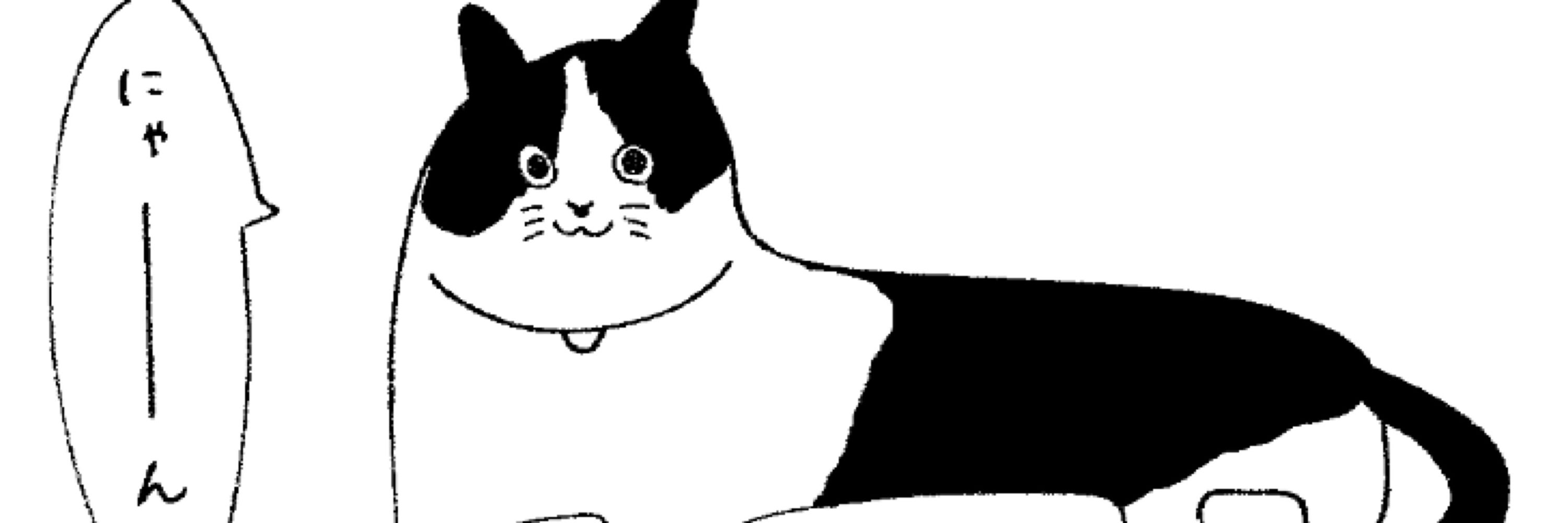 しげるキャット